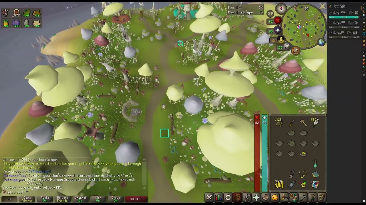 2026021403 runescape-gim