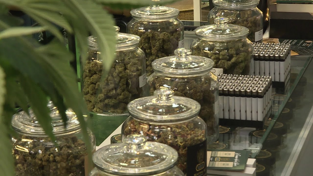 Premier salon du CBD et du chanvre &agrave; Marseille