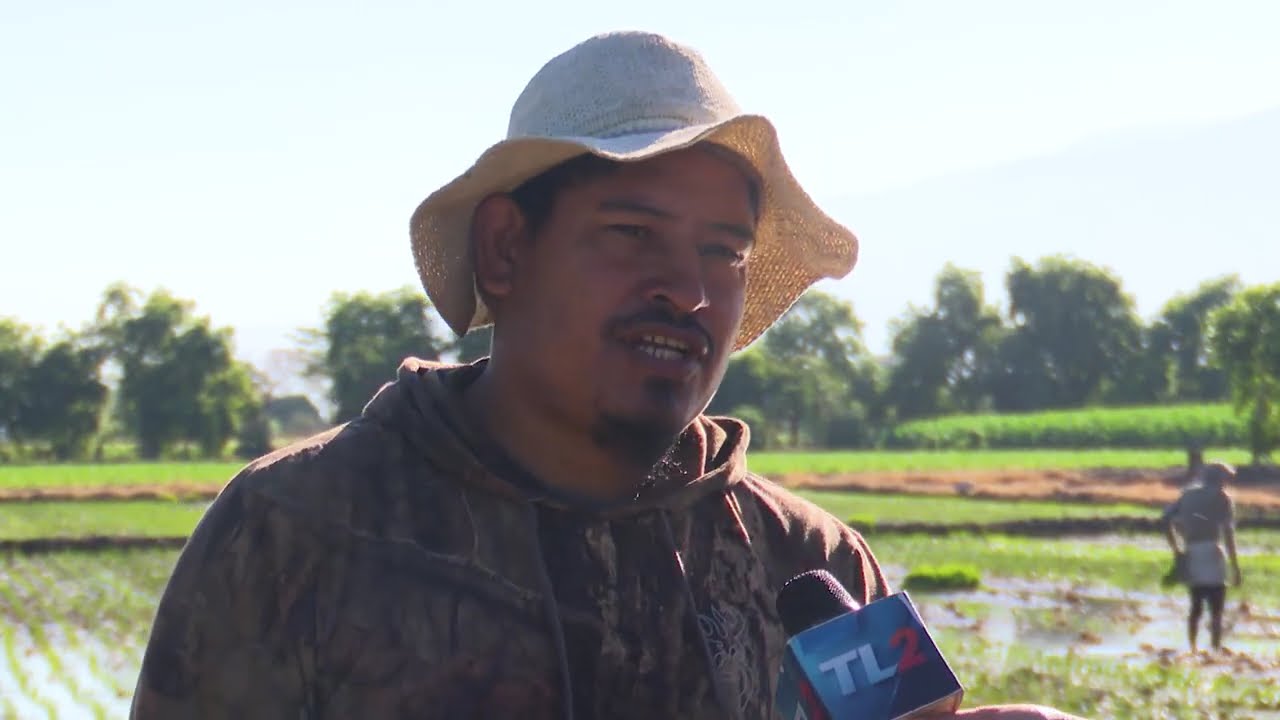 El ingenioso sistema de riego de los agricultores del valle de Zapotitán | Teledos | El Salvador