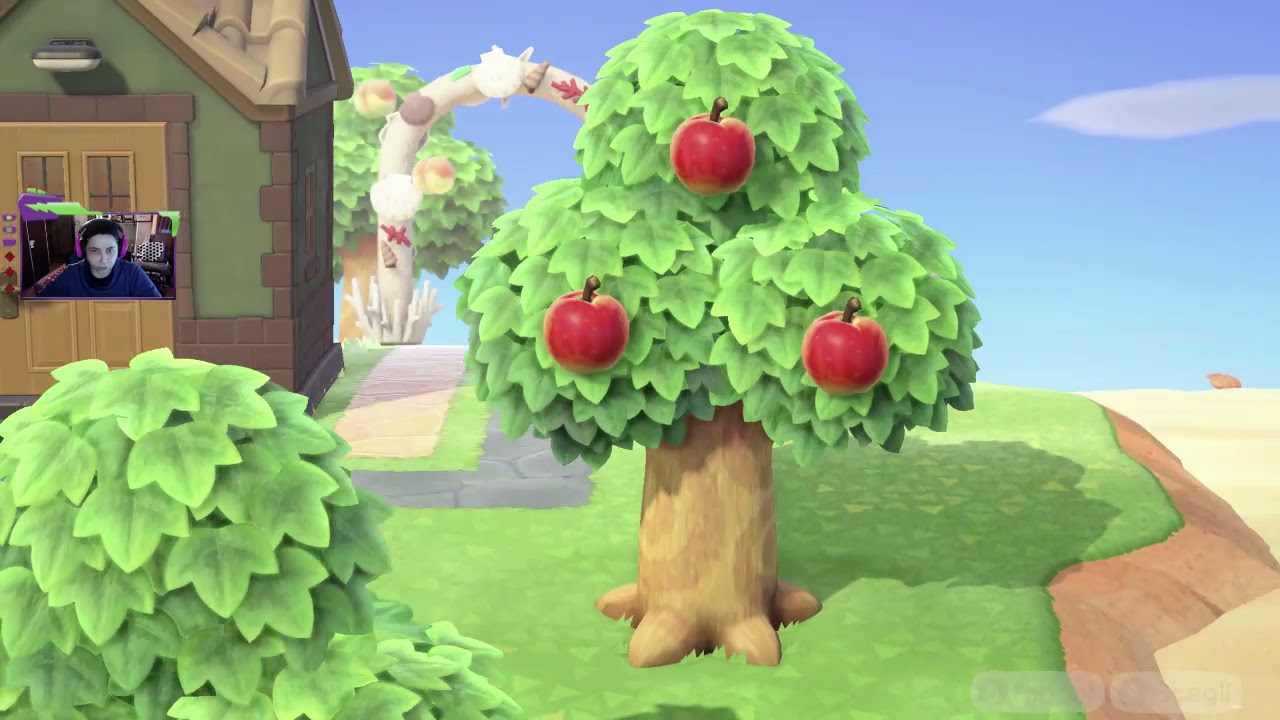 animal crossing new horizon: qualche variazione di scale