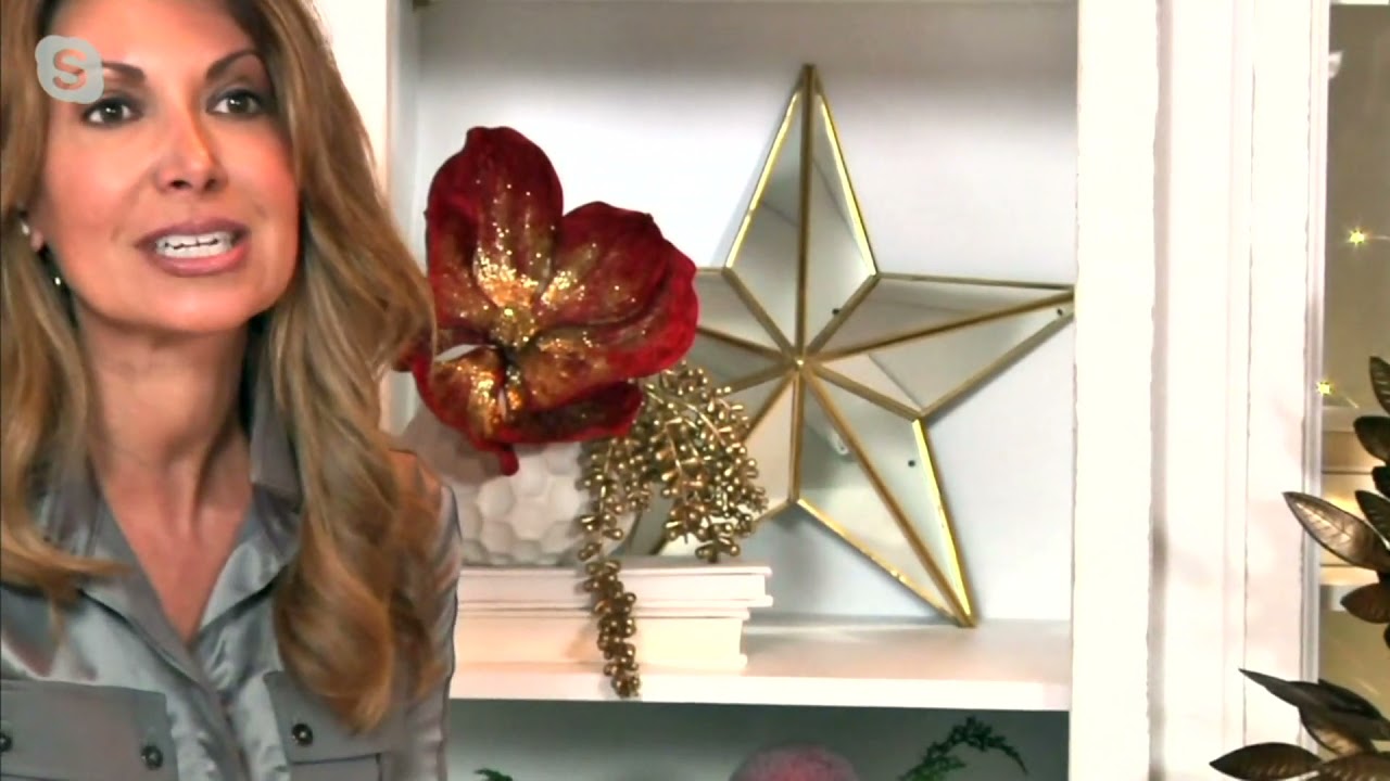 Simply Stunning Set of 2 Mirrored Stars by Janine Graff on QVC