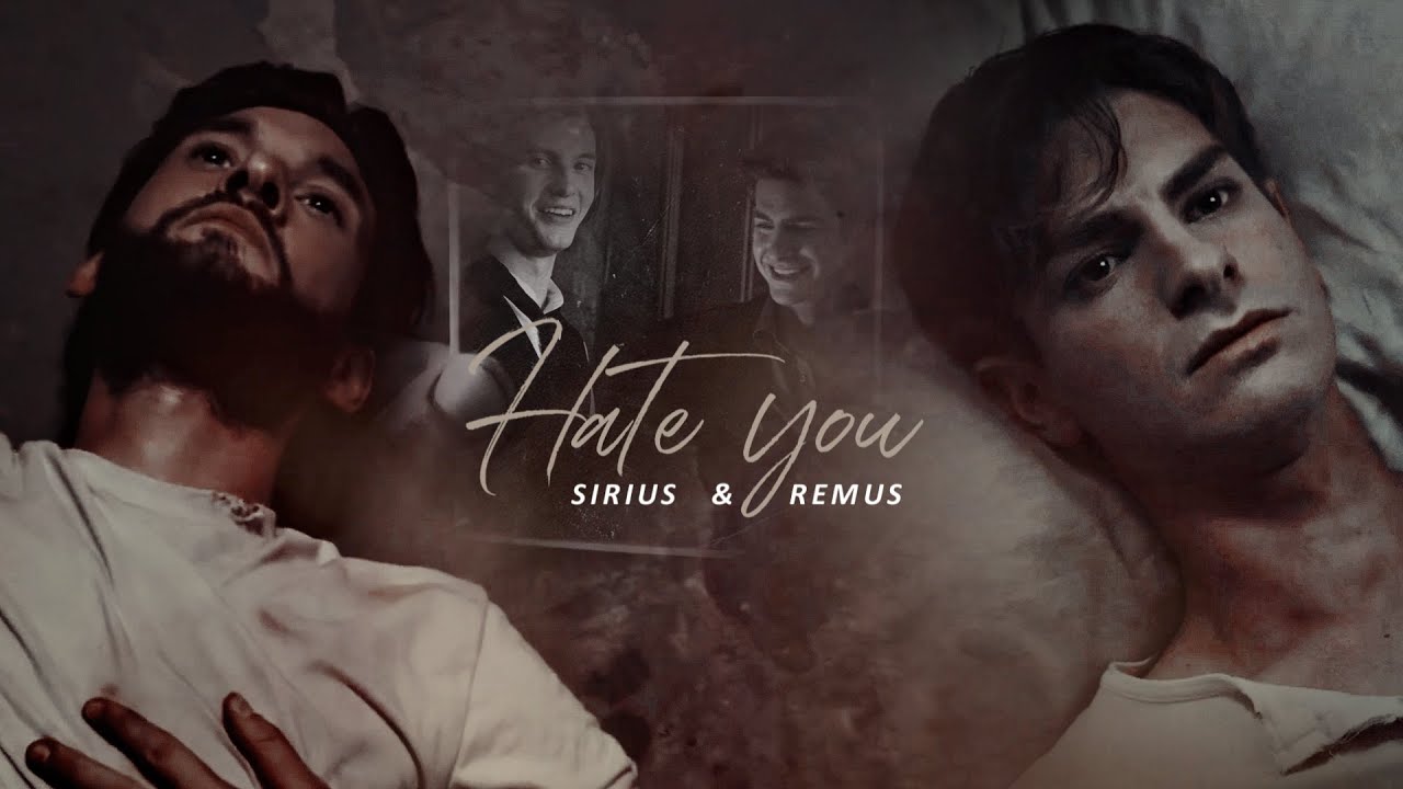 Sirius & Remus | Hate You