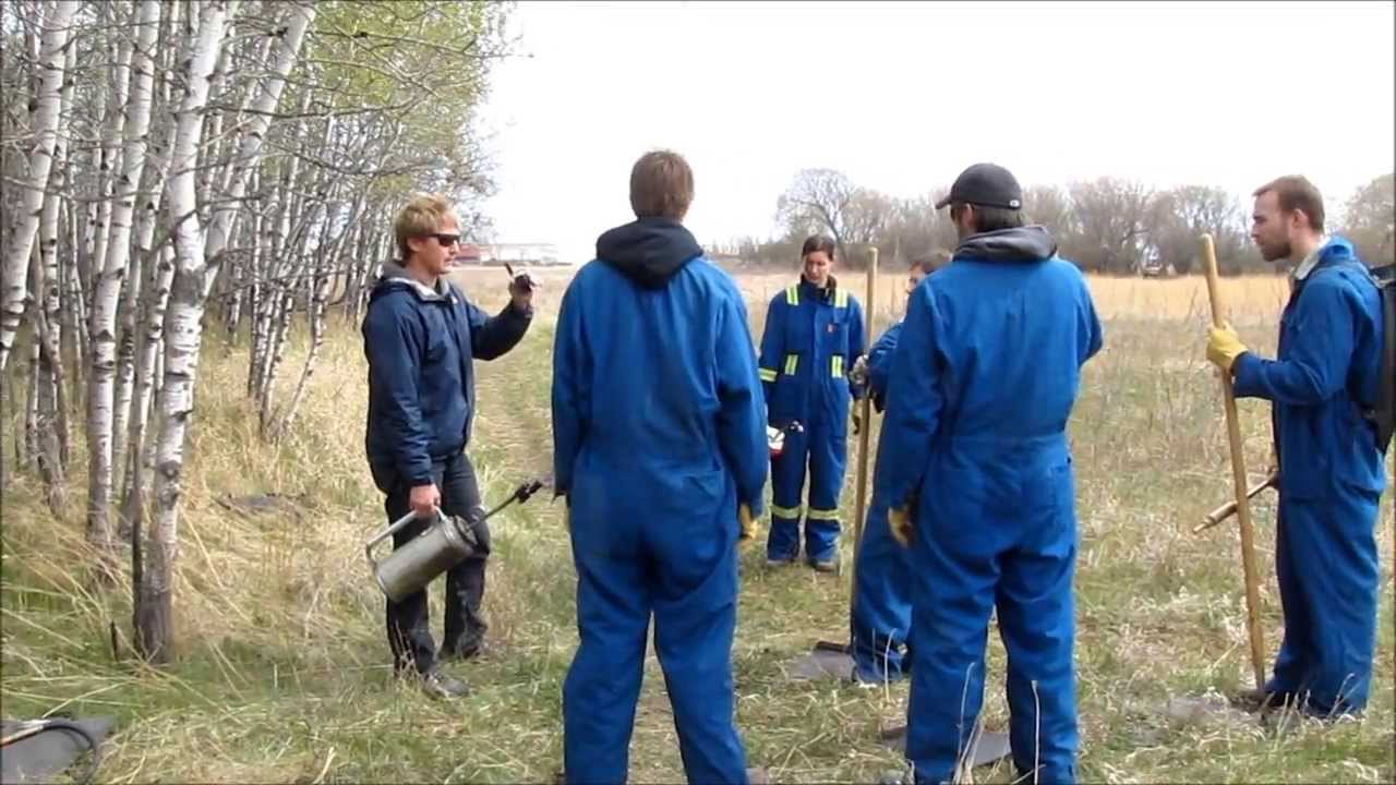 Living Prairie Museum Prescribed Burn