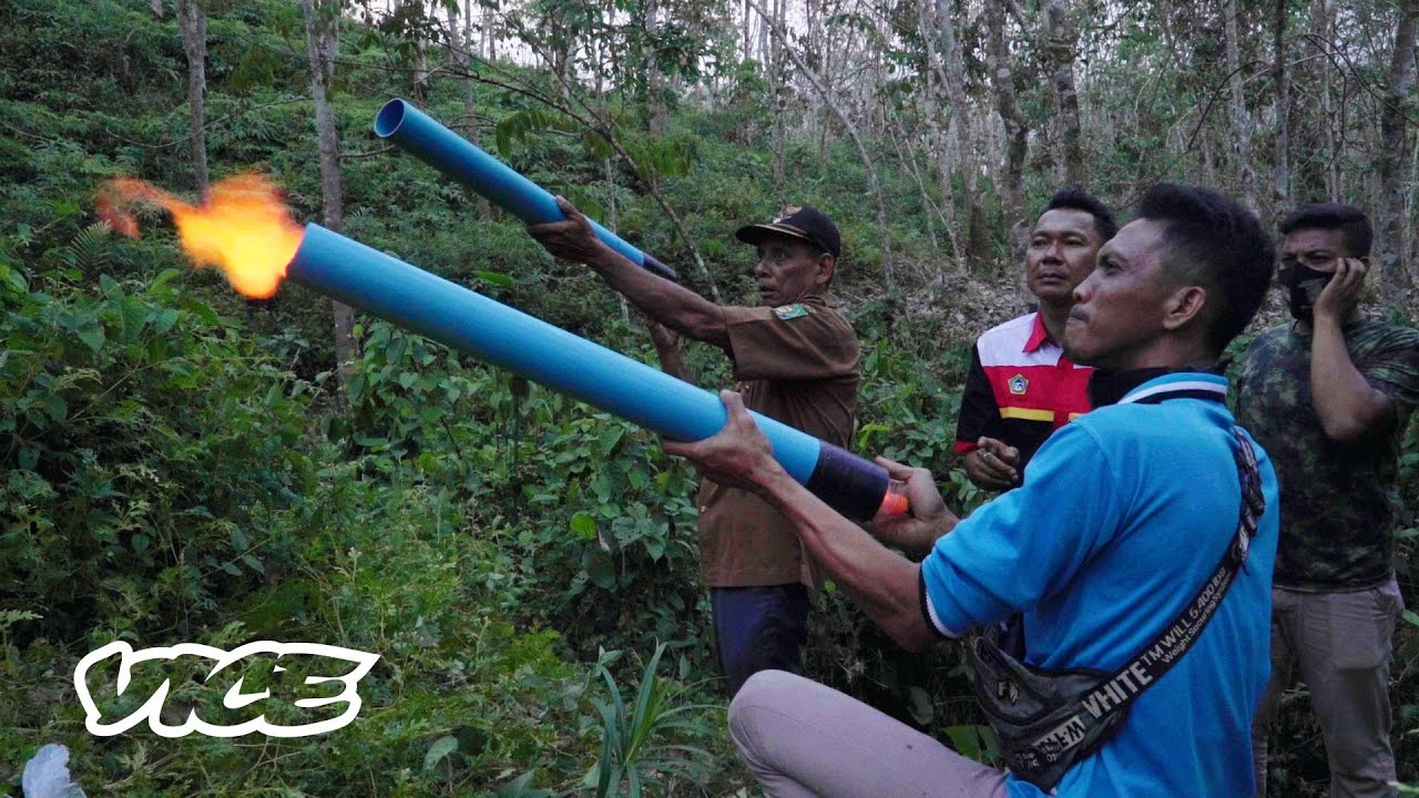 Penyebab Serangan Harimau Meningkat di Sumatra Utara
