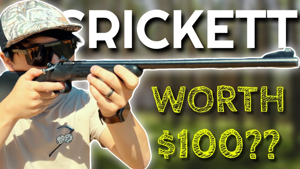 Keystone Crickett Rifle 22LR Review: Best Gift Of 2024?