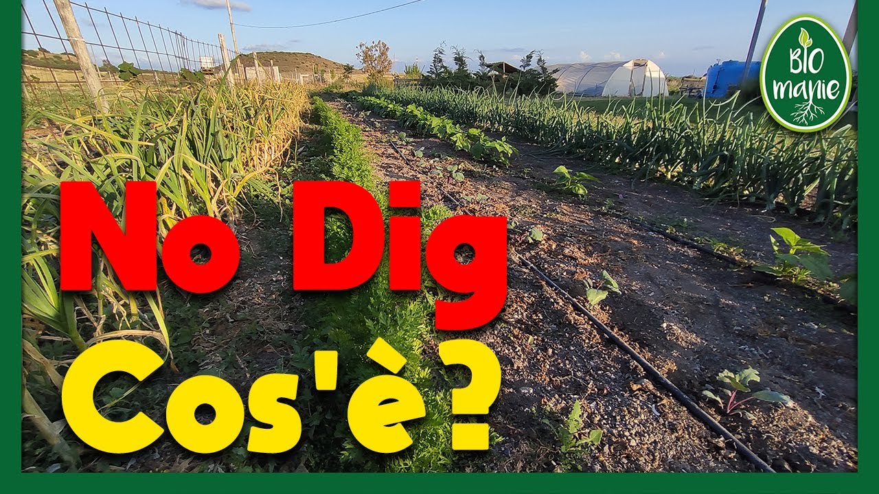 Il metodo NO DIG nell'orto