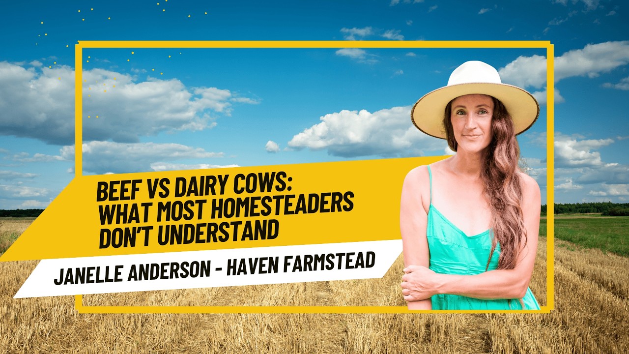 Episode 88: Beef vs Dairy Cows with Janelle Anderson