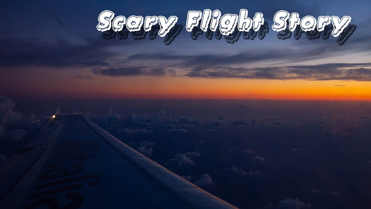 🆕Flight Attendant Scary Stories - Scary Stories New Video