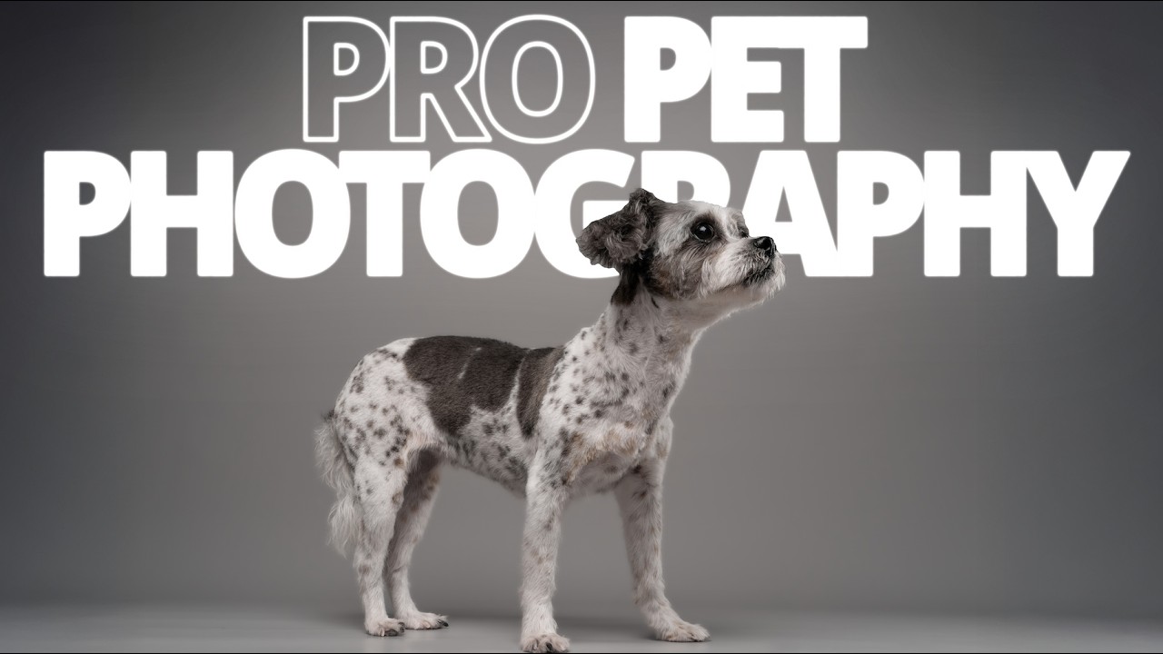 DOG PHOTOGRAPHY GEAR - Everything you need to know - 12-24mm f/4 vs 28-70mm GM f/2