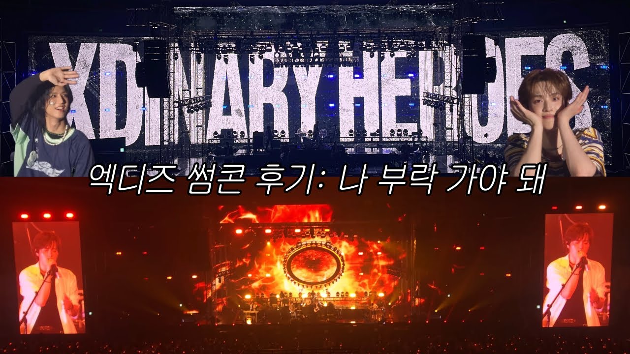 와 재밌었다… (페스티벌을 예매하며) | 엑디즈 썸머콘 브이로그 | 빌런즈 브이로그