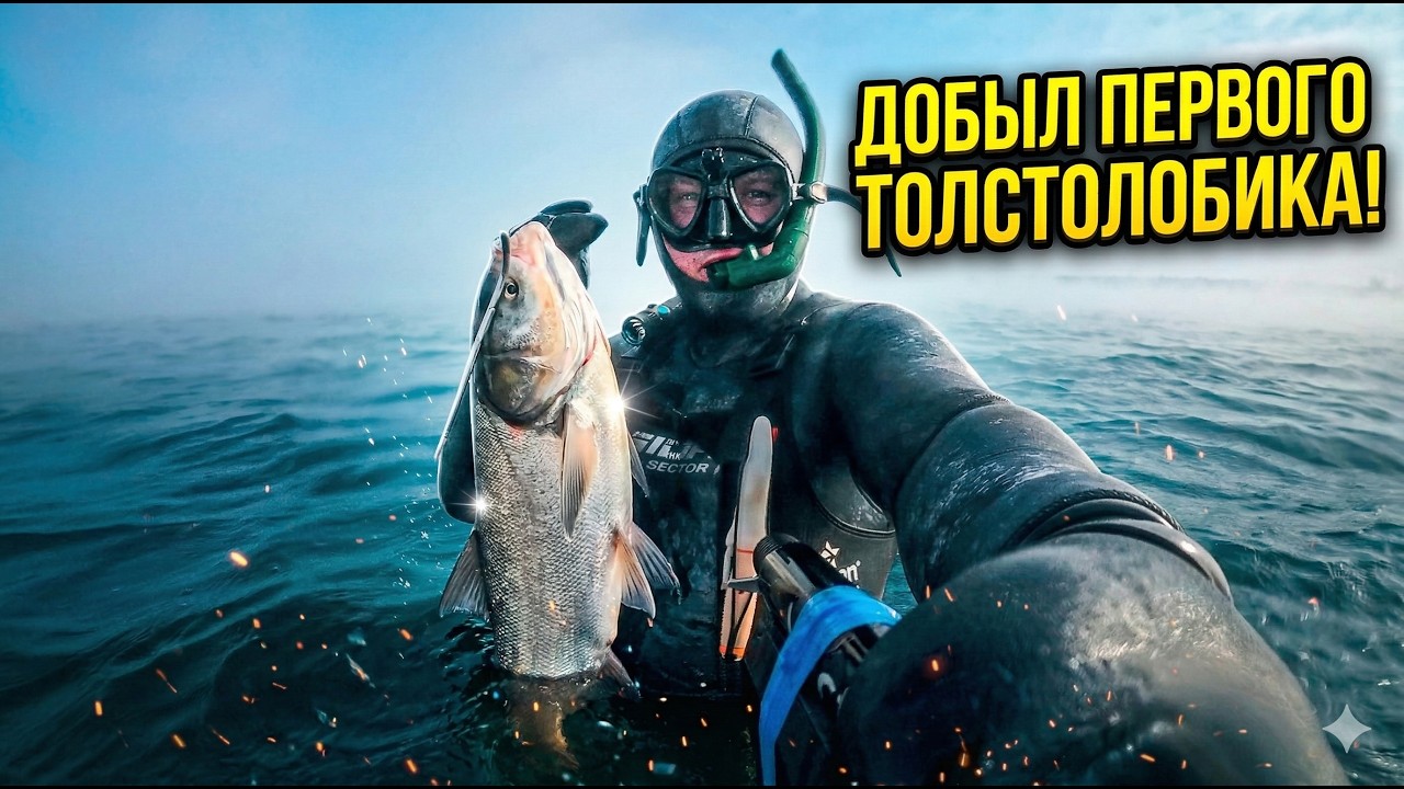Зимняя подводная охота 2026: Мой ПЕРВЫЙ ТОЛСТОЛОБИК на лежке! 🥶🐟