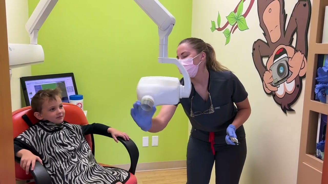 Safari Children's Dentistry