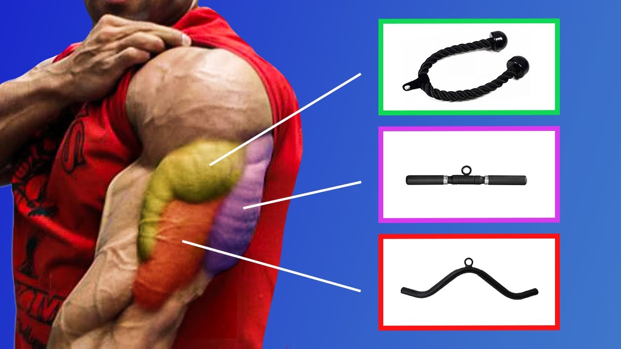 TREINO PARA AUMENTAR O TRÍCEPS: DIFERENÇA ENTRE OS PEGADORES