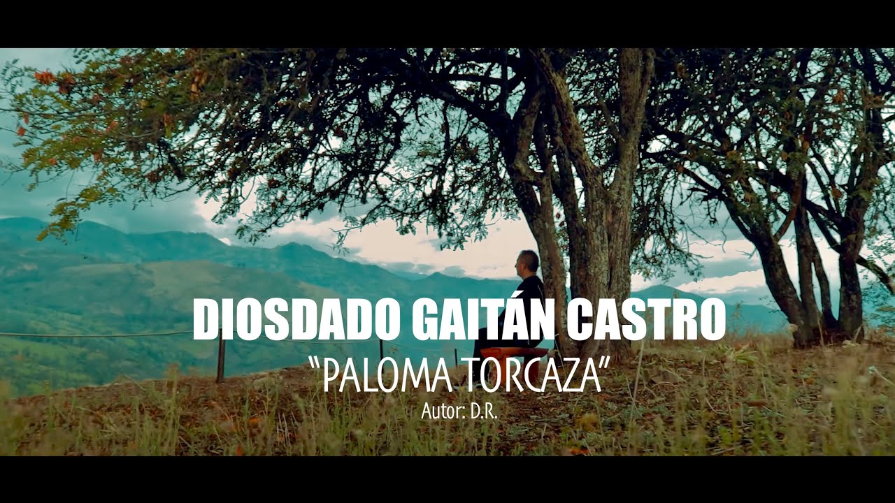 Paloma Torcaza - Diosdado Gaitán Castro (Video Oficial)
