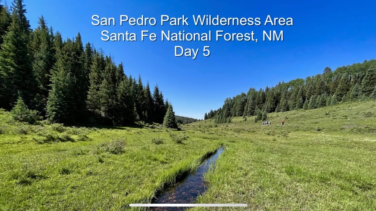 San Pedro Parks Wilderness Area, Santa Fe National Forest, New Mexico - Day 5