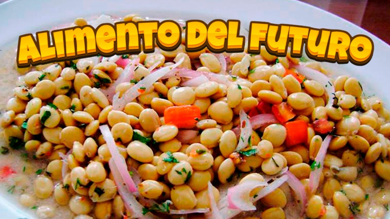 EL TARWI O CHOCHO | PROPIEDADES Y BENEFICIOS PARA LA SALUD