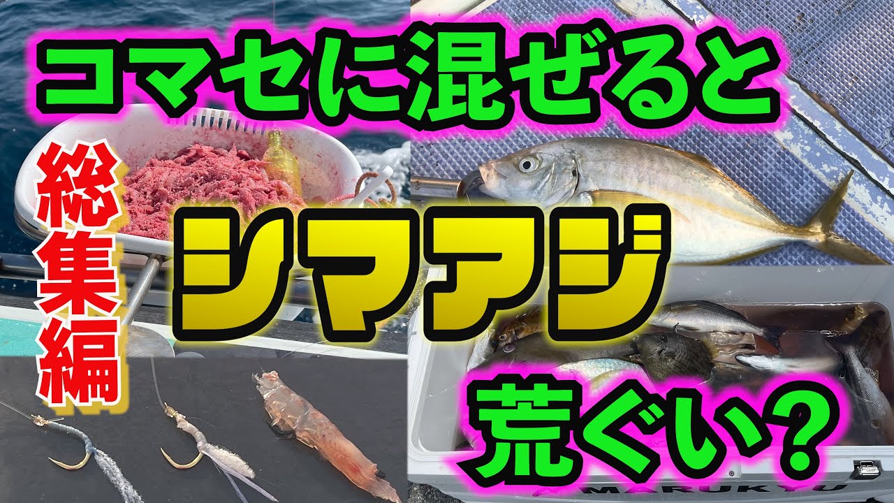 相浜港 安田丸 シマアジ 総集編
