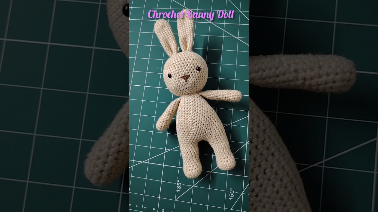chrochet bunny/Customized bunny doll/Dm for order #amigurumi #chrochet #crochetkeychain #crochettoys