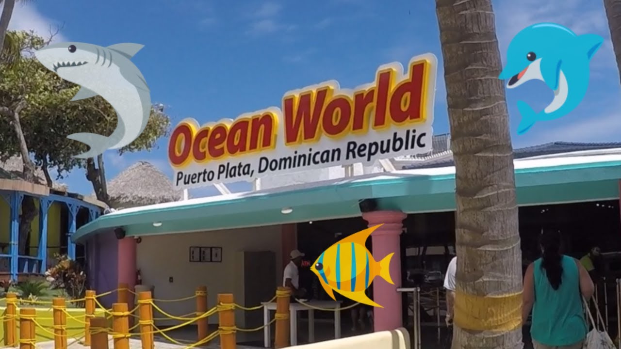 Our Visit at Ocean World - Puerto Plata, Dominican Republic