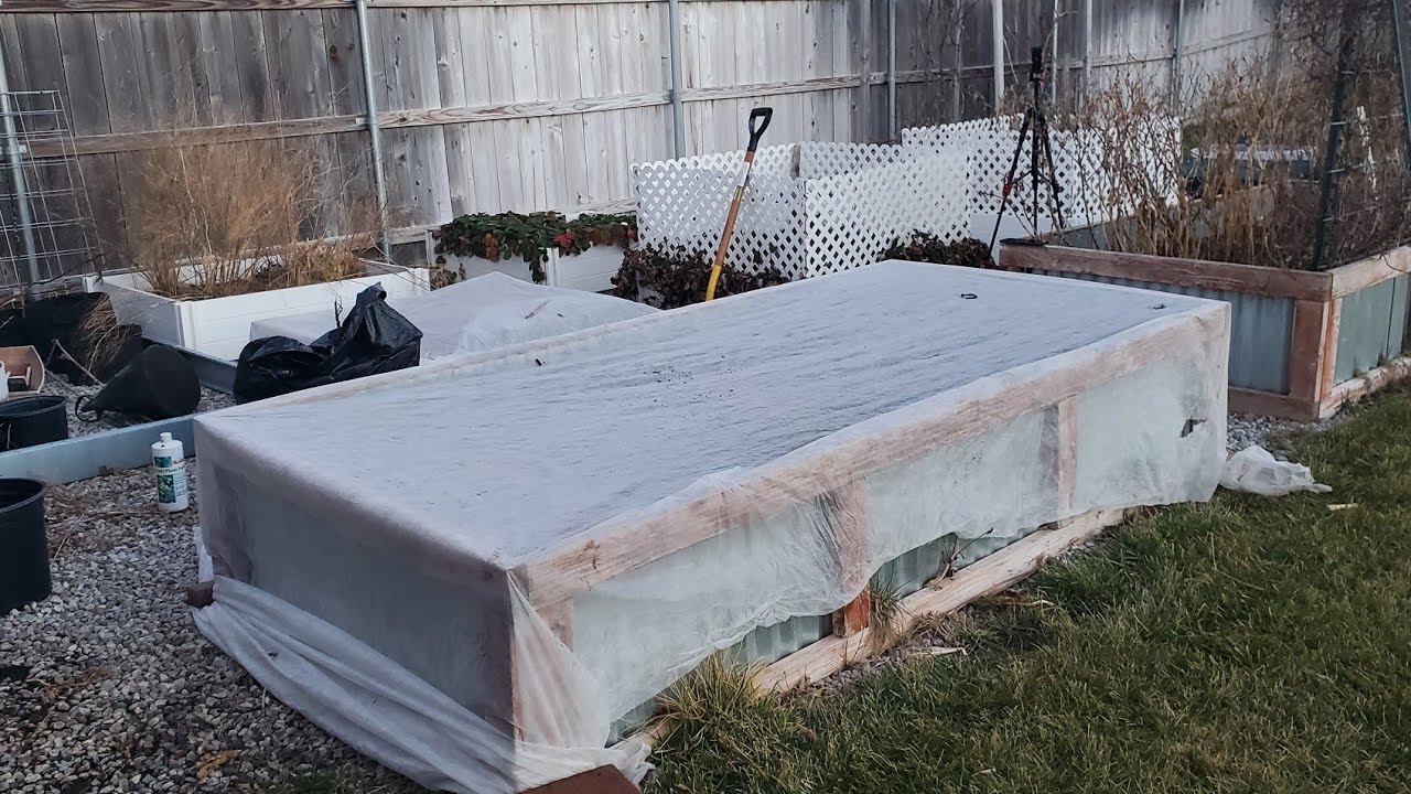 Day 1 cleaning and sowing vegetable seed | winter garden 