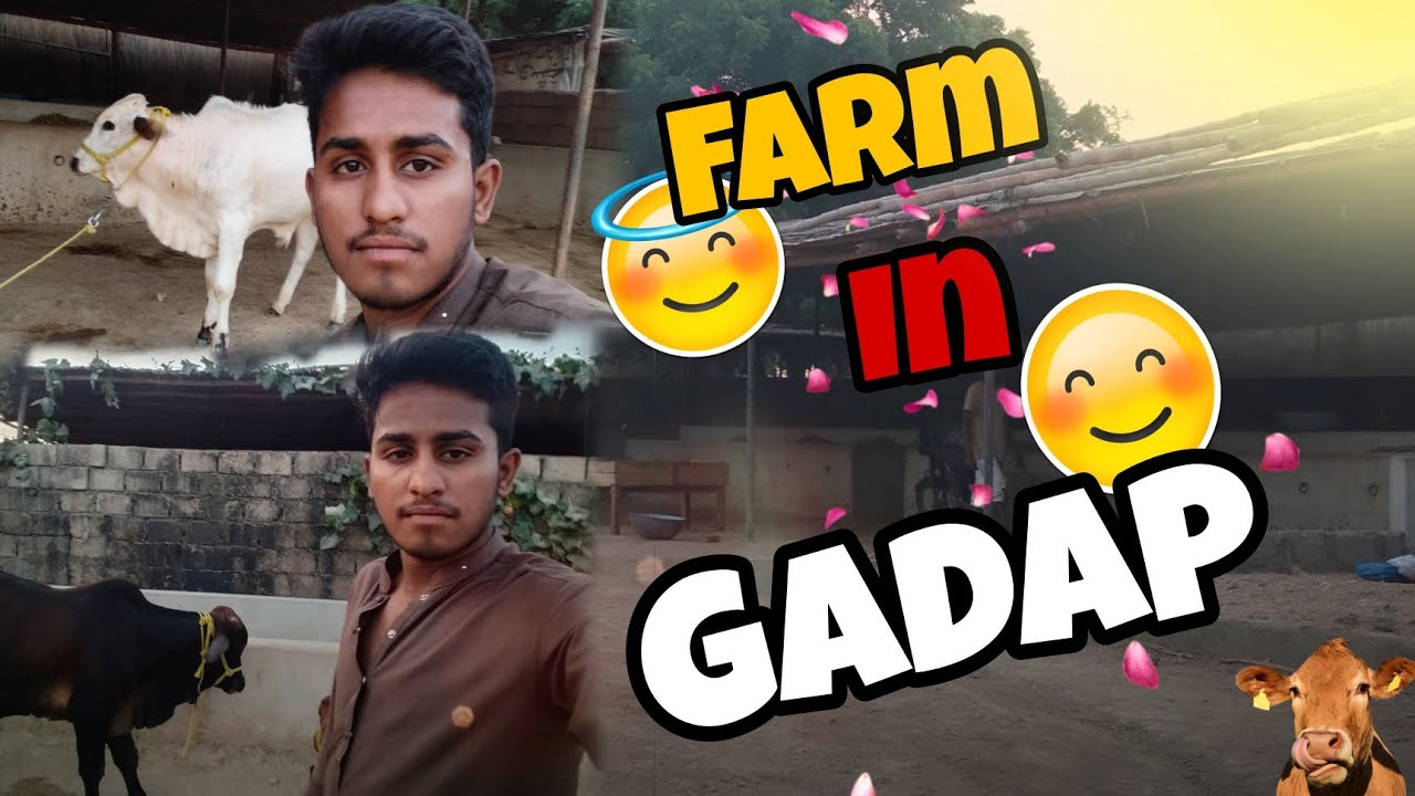 Farm In Gadap 🥹🥰🫀