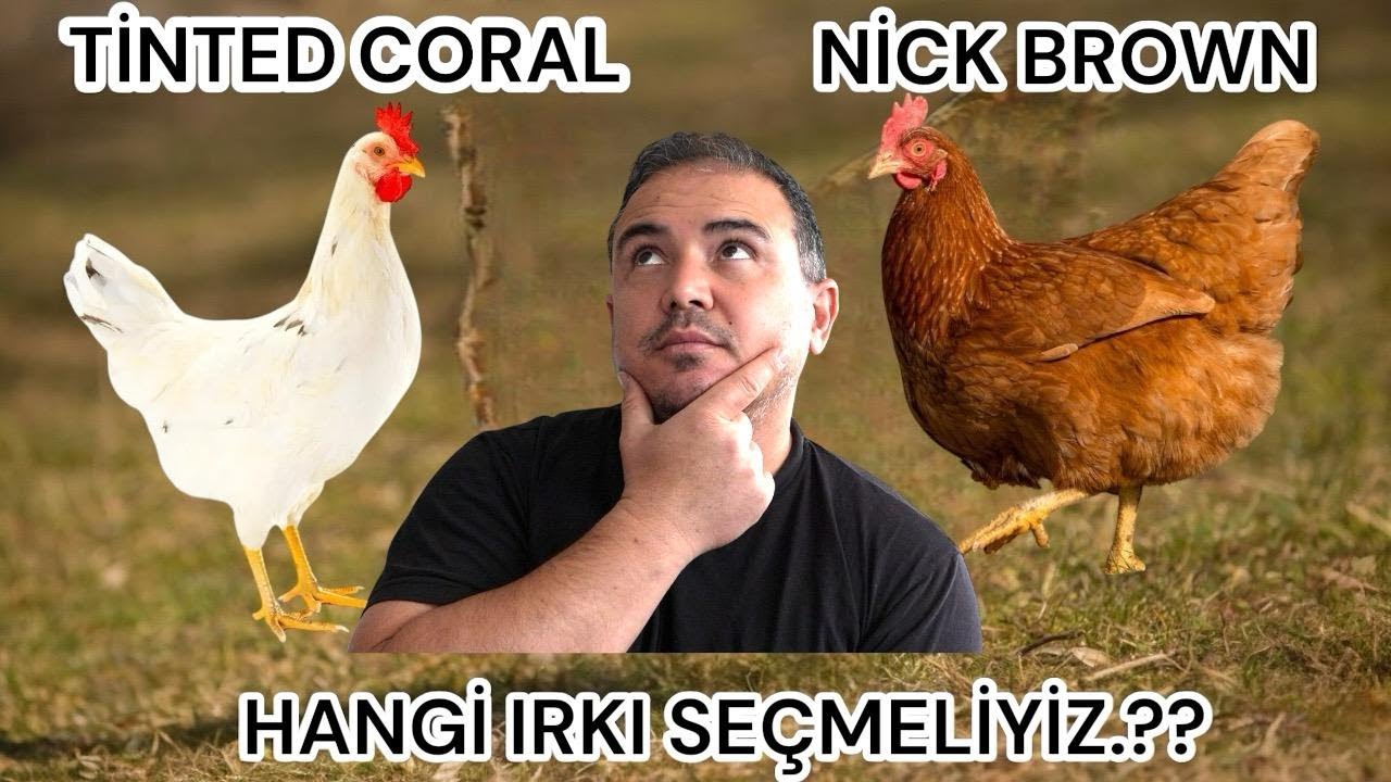 HANGİ IRKI SEÇMELİYİZ..???