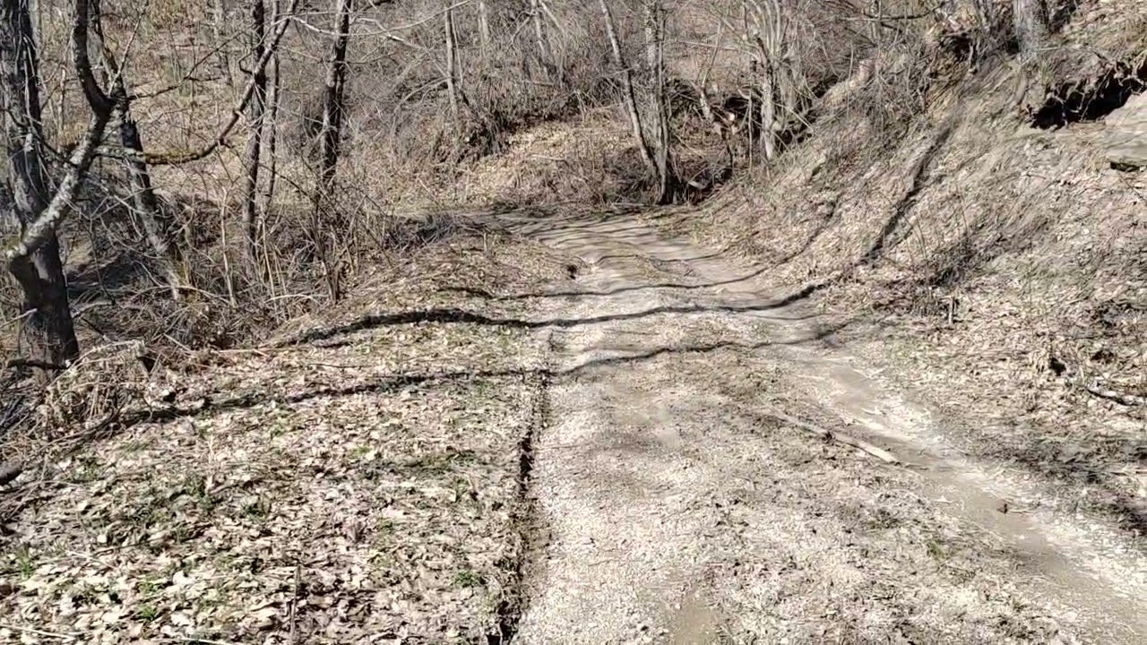 Voznja so Migliori Cammello 