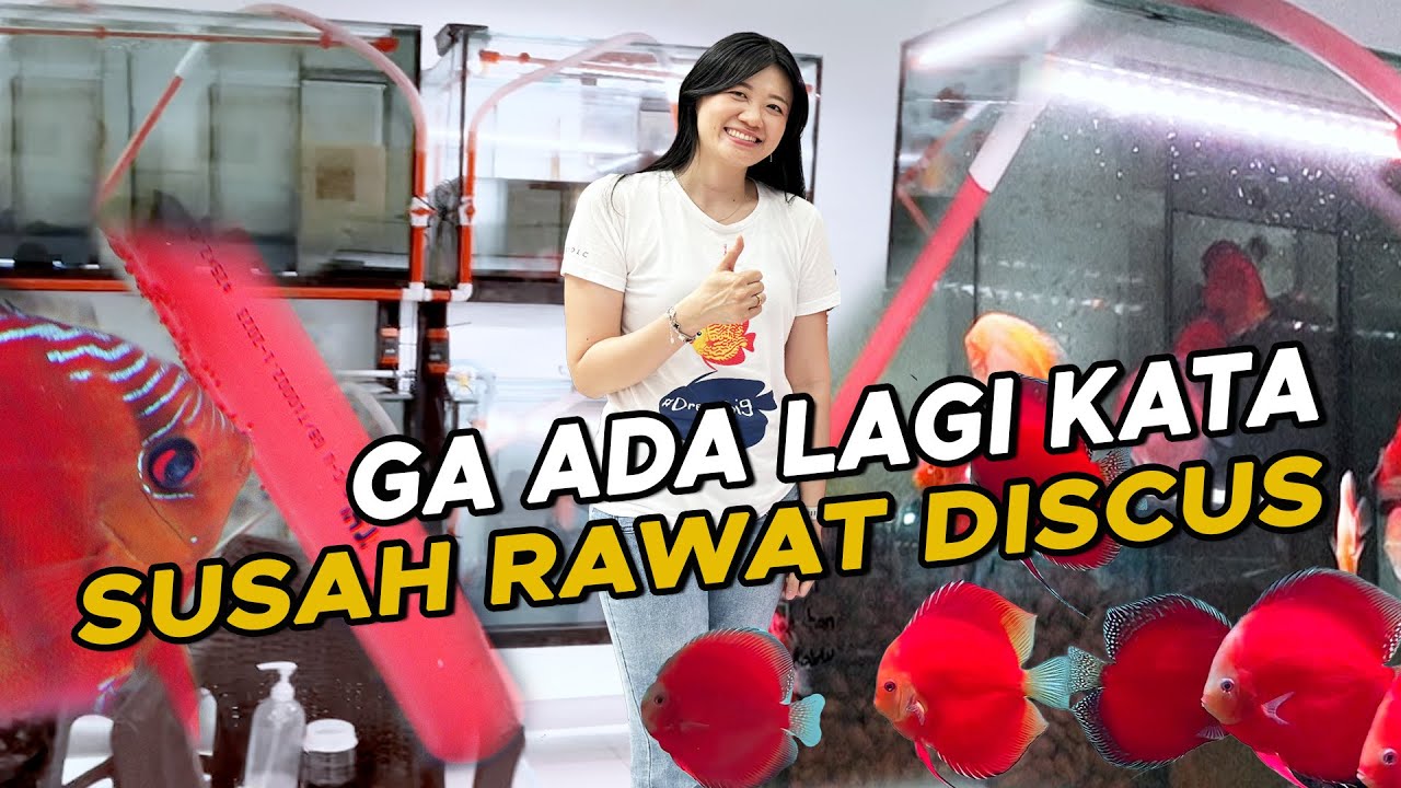 WAJIB IKUTIN PERSIS LANGKAH MAINTENANCE ZORA DISCUS DIJAMIN AMAN ‼️