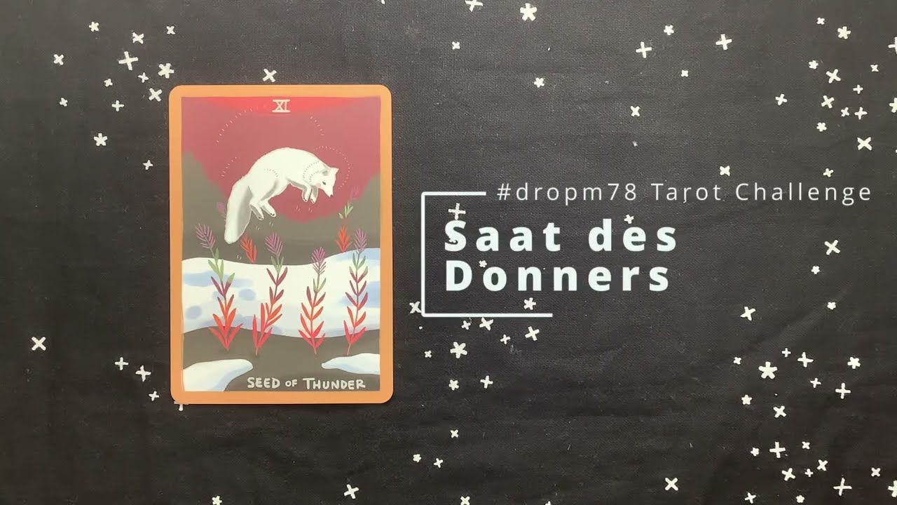 Karte für Karte: Gentle Tarot - Page der Schwerter (Fifth Spirit) 