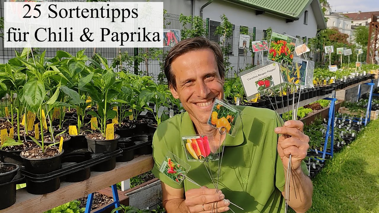 25 Sorten & Anbautipps für Paprikas und Chilis 🌶 Von Naschpaprikas bis zum Carolina Reaper Pepper