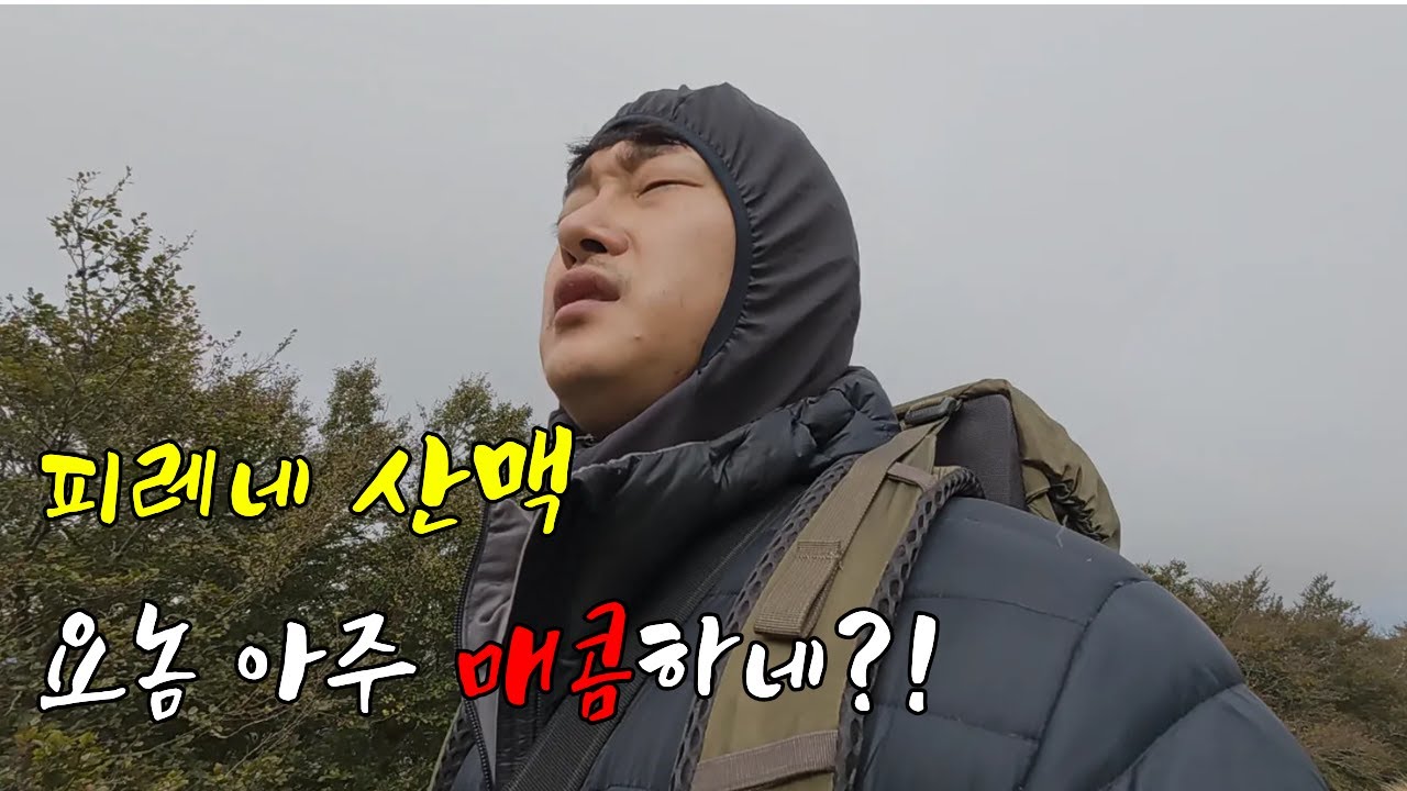 산티아고 첫날, 피레네 산맥 아주 매콤하네?- 산티아고 순례길(1)🇪🇸