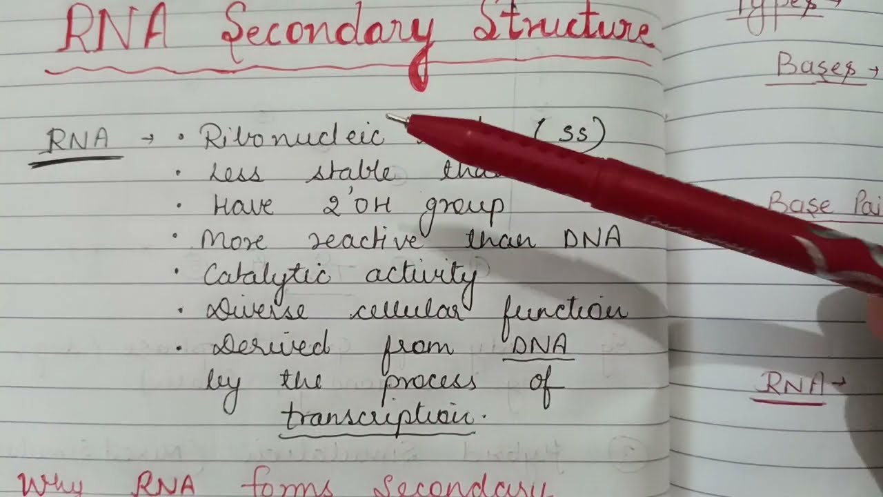 RNA Secondary structure with notes