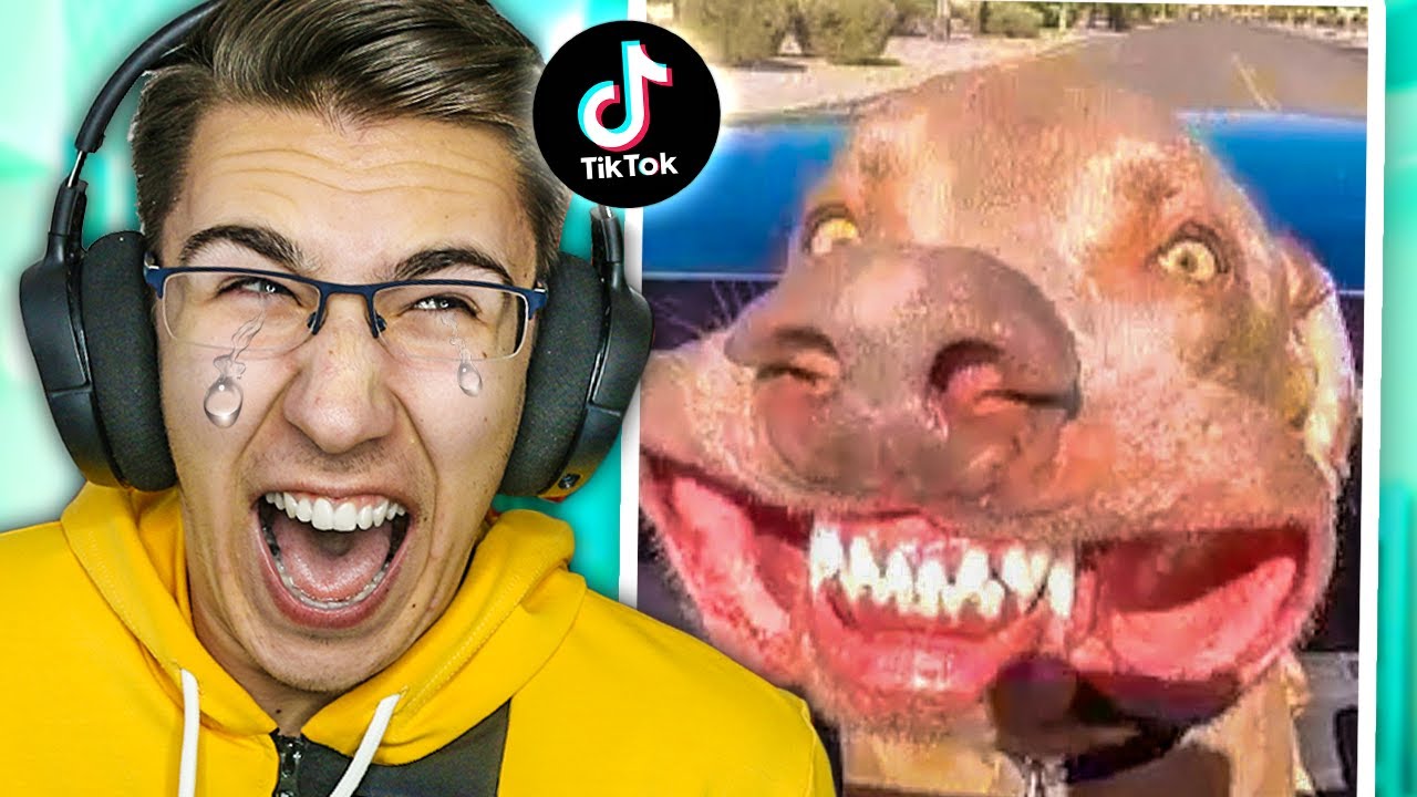 99% LJUDI SE NASMEJE!! *EKSTREMNI* POKU&Scaron;AJ DA SE NE NASMEJE&Scaron;!! - TIK TOK