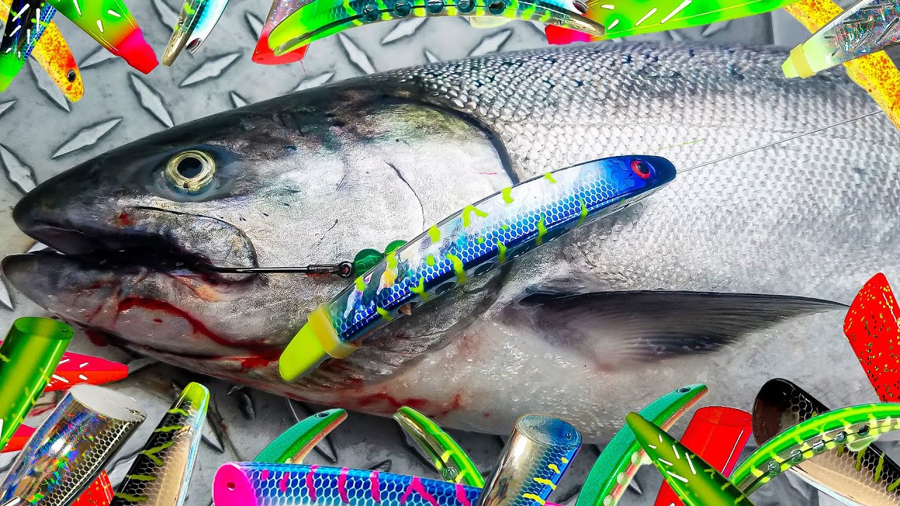 The Ultimate Guide To Superbaits Setup (3 Ways)