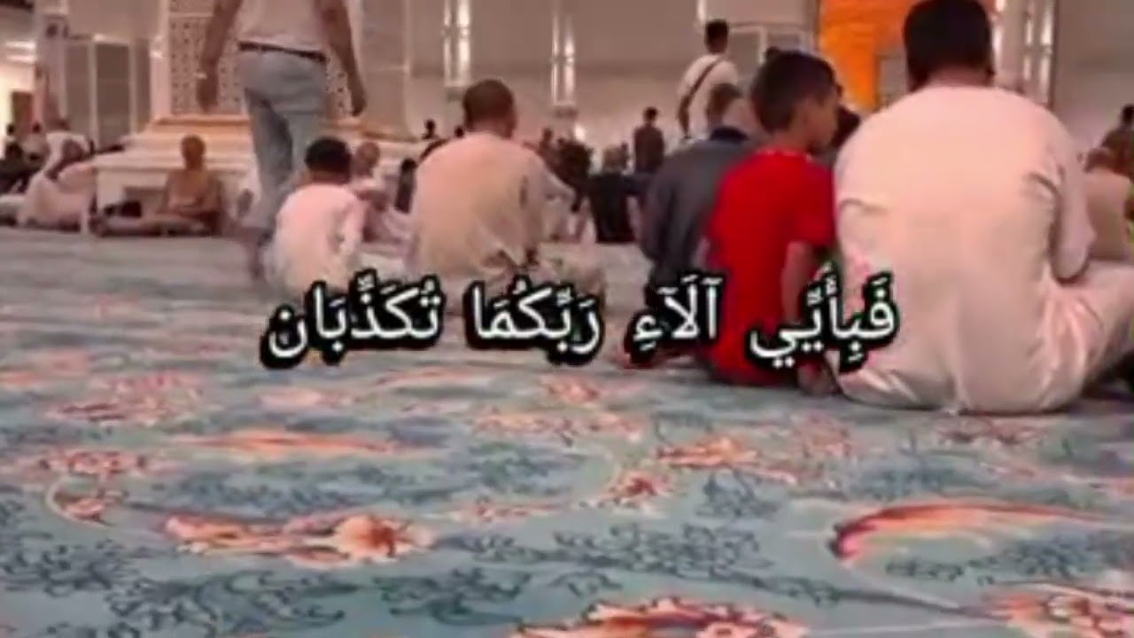الرحمان علم القرآن..تلاوة ماتعة للشيخ يوسف بابو|#viral #اكسبلور #المصحف #youtubeshorts #duet #you 