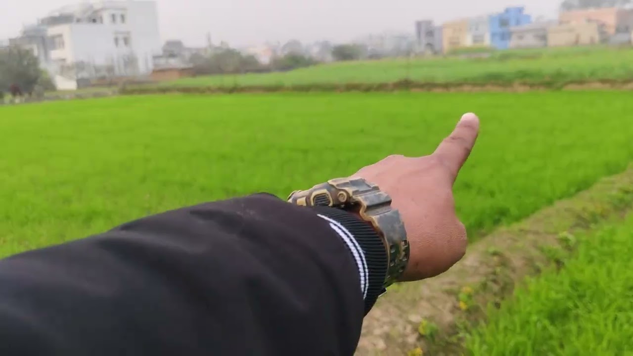 PLOT AVAILABLE SHIMLA BYPASS ROAD BADOWALA 64 BY 45, 40 BY 70 AND 34 BY 80