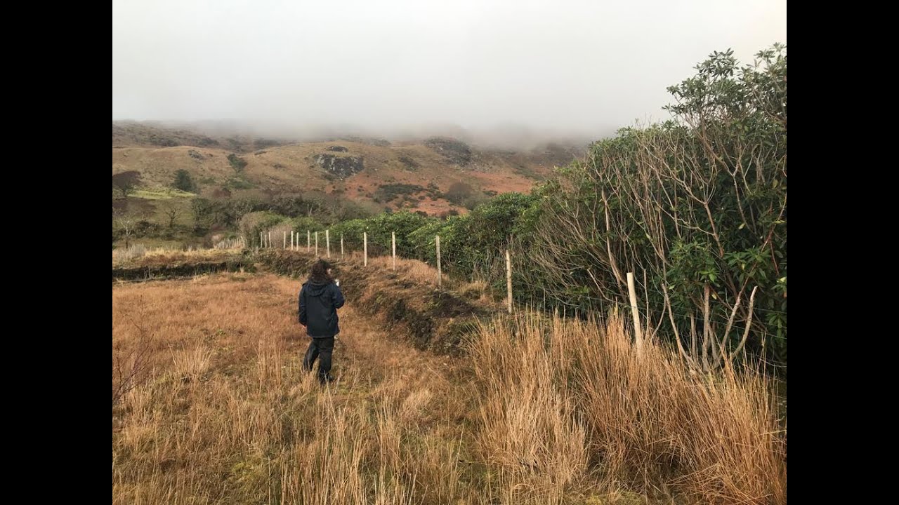 Rhododendron control training video: Pearl Mussel Project and North Connemara EIPs