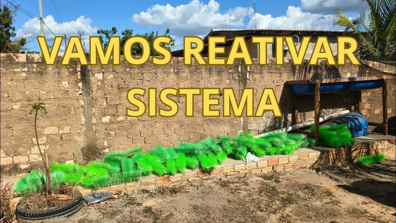REATIVAÇÃO DO SISTEMA - PISCICULTURA #