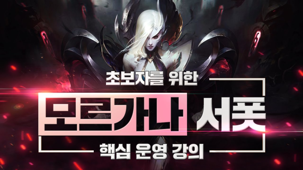 데교수의 모르가나 특별 강의