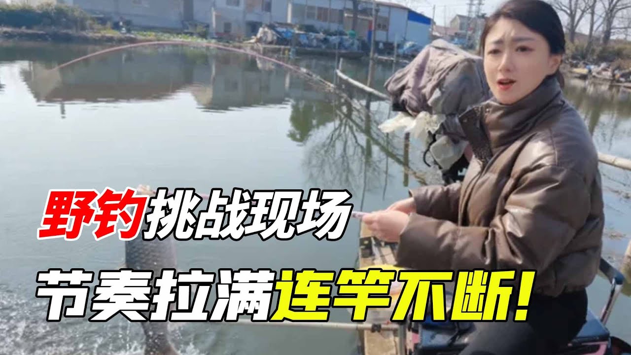 鯽魚靠邊黃金窗口期來了，美女釣手節奏拉滿連竿不斷，漁獲多到裝不下太誇張！