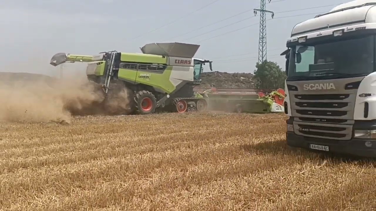 Žatva 2024|Donau Farm Semat|2x Claas Lexion 8800|2x John Deere