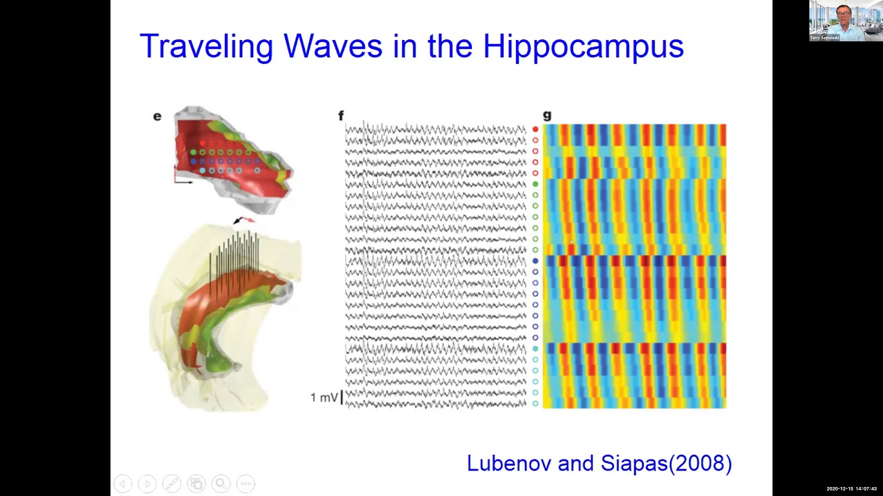 What are traveling waves good for?  - Terry Sejnowski (UC San Diego/The Salk Institute)