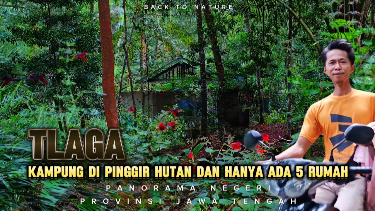 KAMPUNG INI BERADA DI PINGGIR HUTAN DAN HANYA ADA 5 RUMAH || AMYLAROS CHANNEL (22/01/2025)