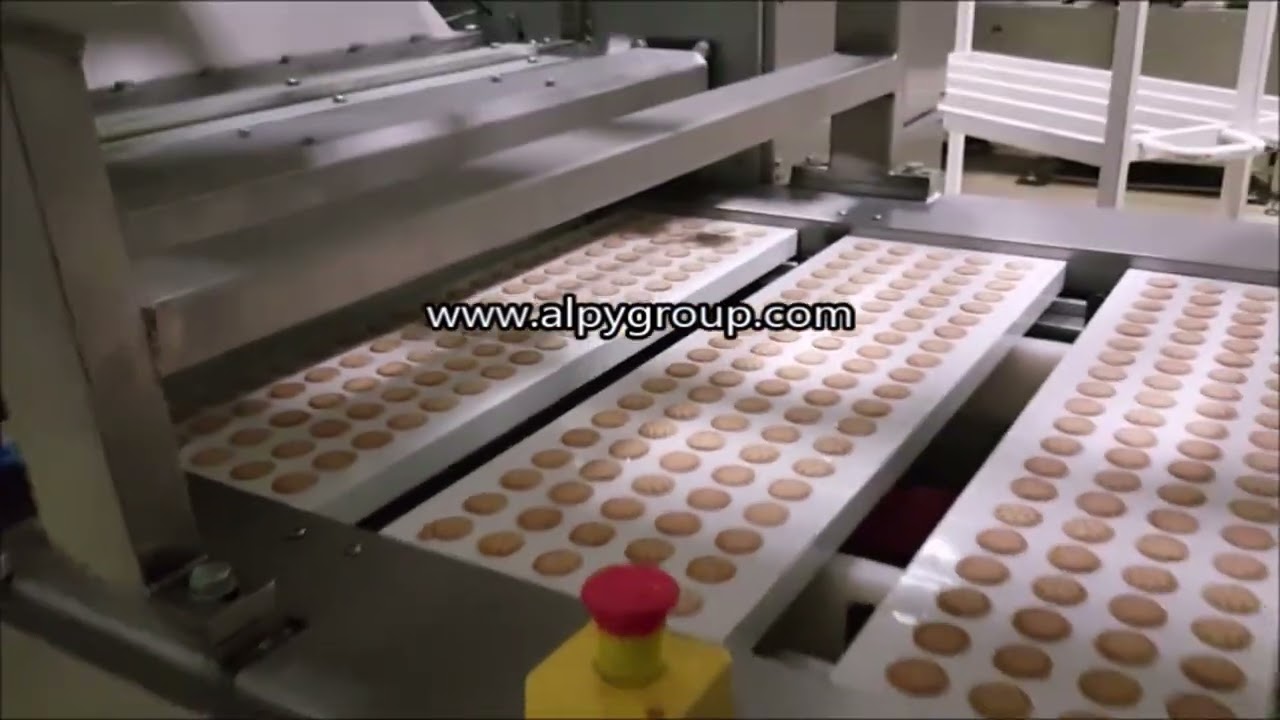 CHOCOLATE MOULDING LINE