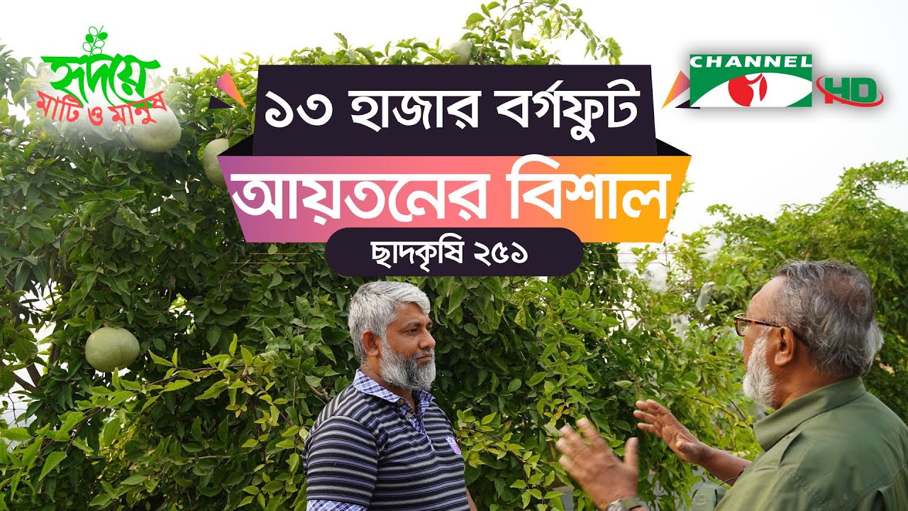 গাজিপুর জাঝরের আইরিশ ডিজাইন লি. এর ছাদকৃষি | পর্ব ২৫১ | Shykh Seraj | Channel i |