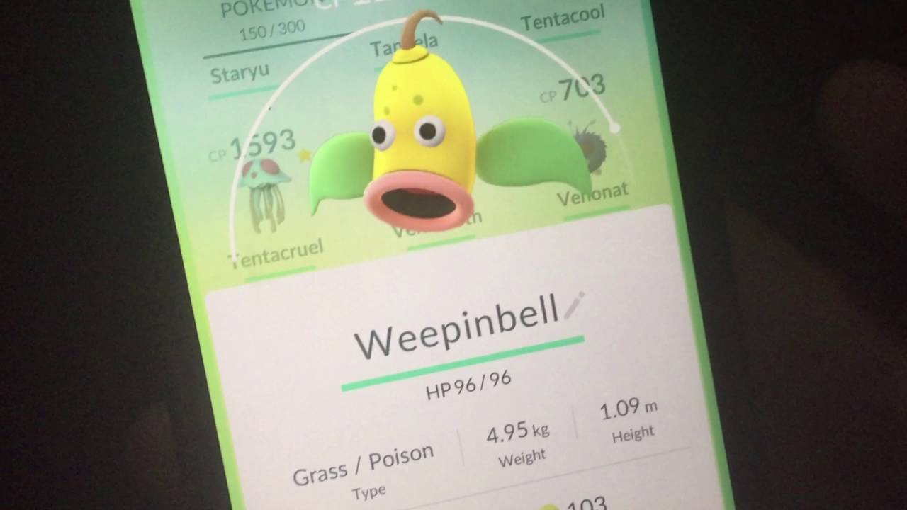 Эволюция 1221 КП Уипинбелл Покемон ГО. Evolve 1221 CP Weepinbell. Pokemon GO.