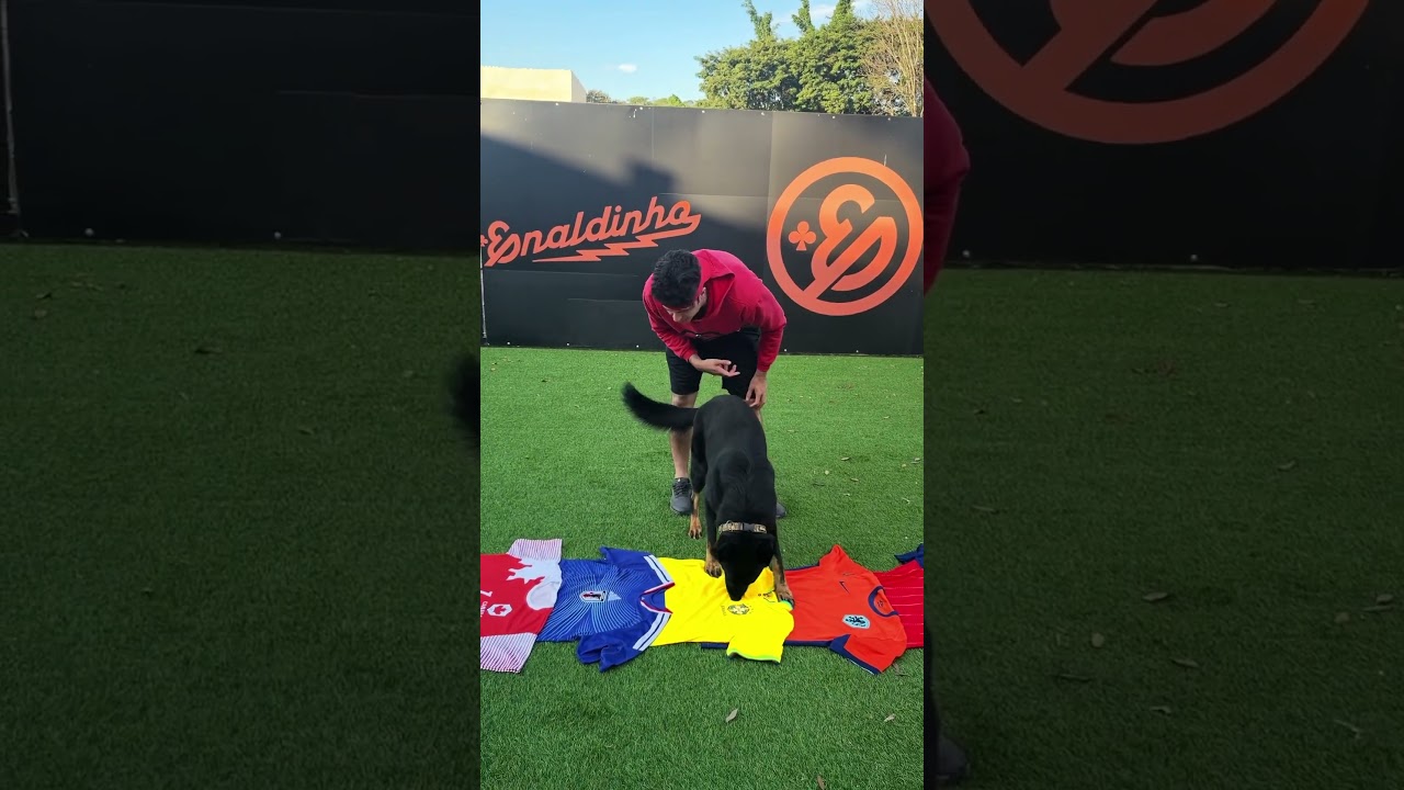 QUEM SER&Aacute; O C&Atilde;OPE&Atilde;O DA COPA DO MUNDO 2026? 🐶 #shorts
