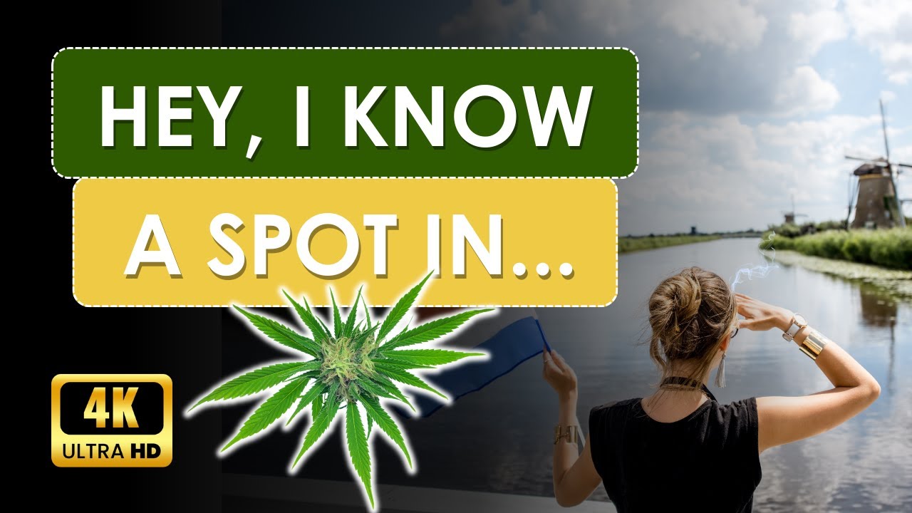 Cannabis in the Netherlands | 420 Travel Guides | 4K UHD