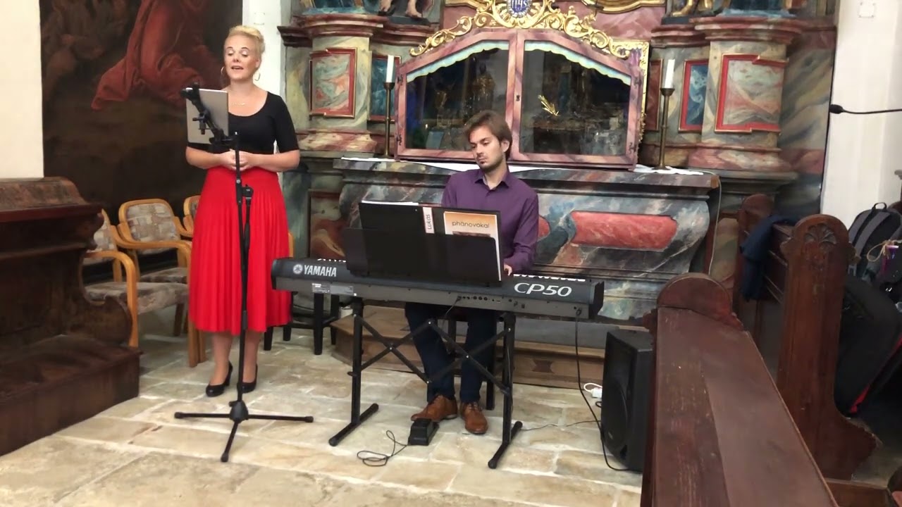 Menschenjunges (Reinhard Mey) - phänovokal (Cover)