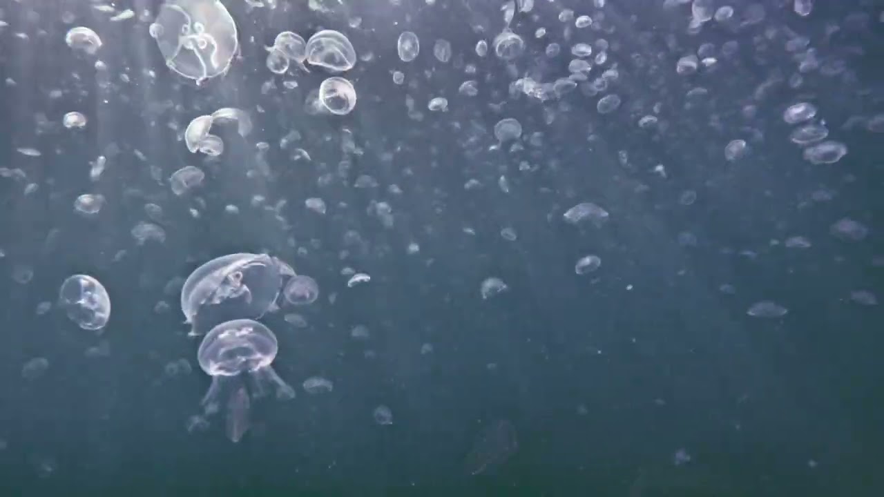 Чёрное море 🌊 198 GoPro
